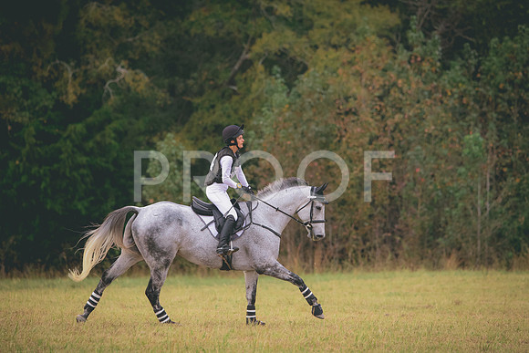 RWP_2728