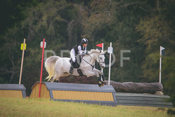 RWP_3247