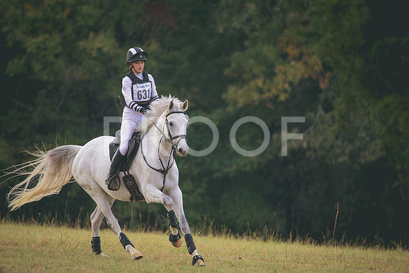 RWP_3253