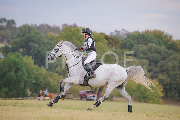 RWP_3271