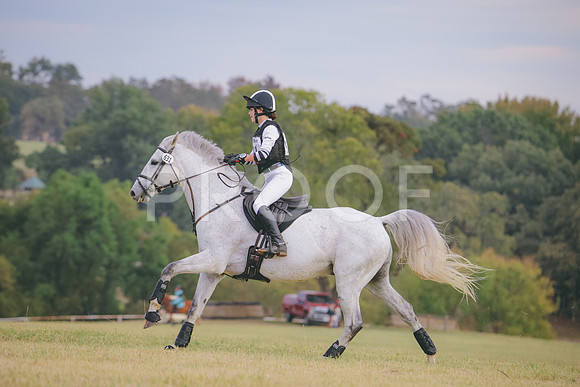 RWP_3272