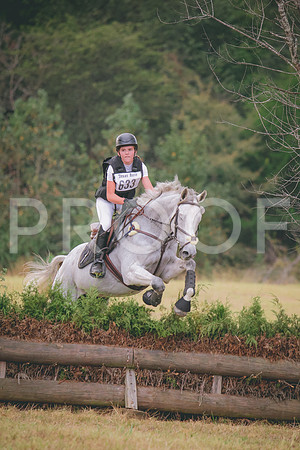 RWP_3077