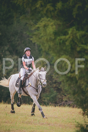 RWP_3070