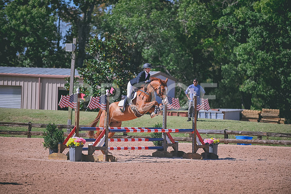 DSC_6036