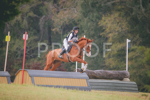RWP_3106