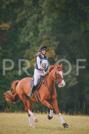RWP_3110