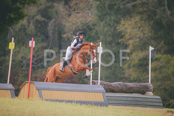 RWP_3104