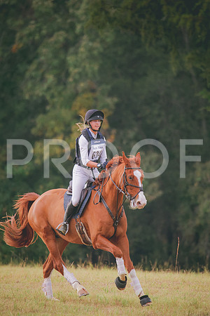 RWP_3111