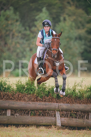RWP_3167