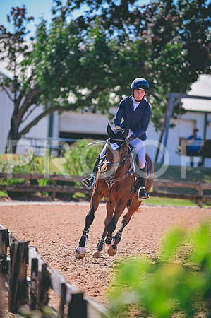 DSC_6956