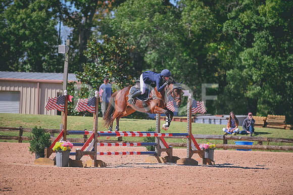 DSC_6890