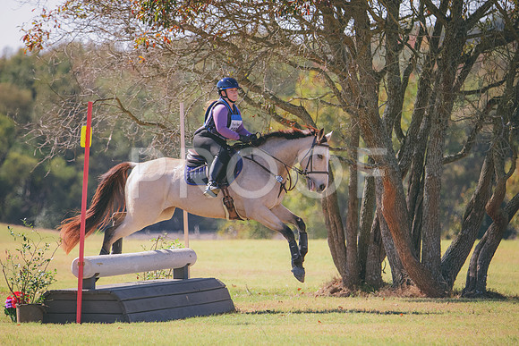 RWP_4559