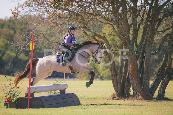 RWP_4558