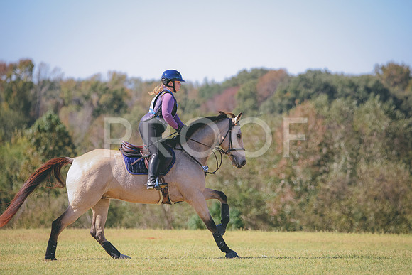 RWP_4561
