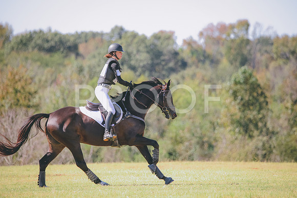 RWP_4833