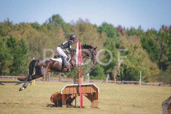 RWP_4867