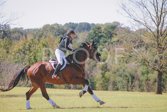 RWP_5376