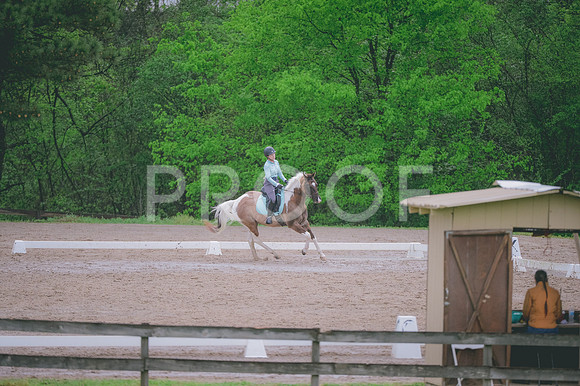 JJS_2849
