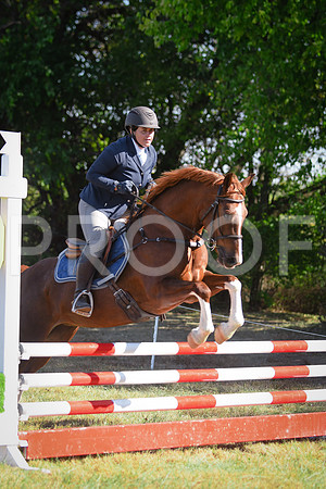DSC_9561