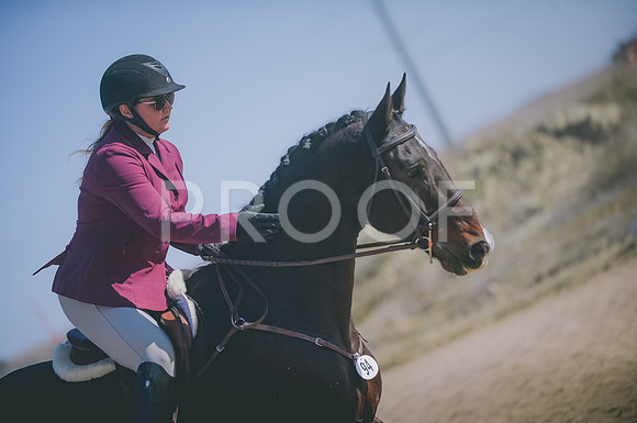JJS_5708