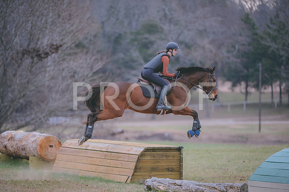 JJS_1318
