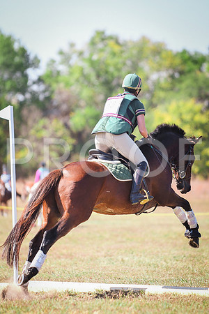 DSC_3392