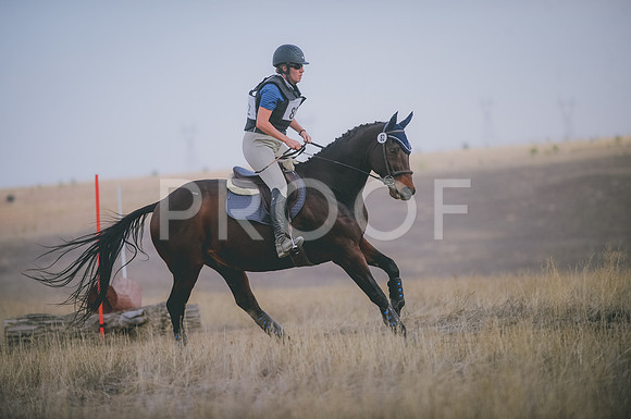 JJS_3638