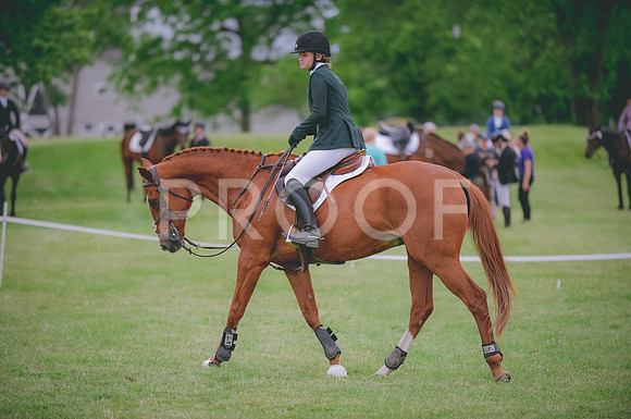 JJS_1410