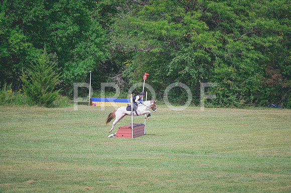 DSC_4674A