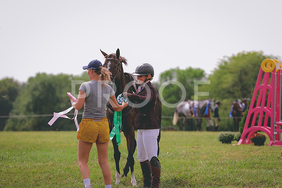 661A3935