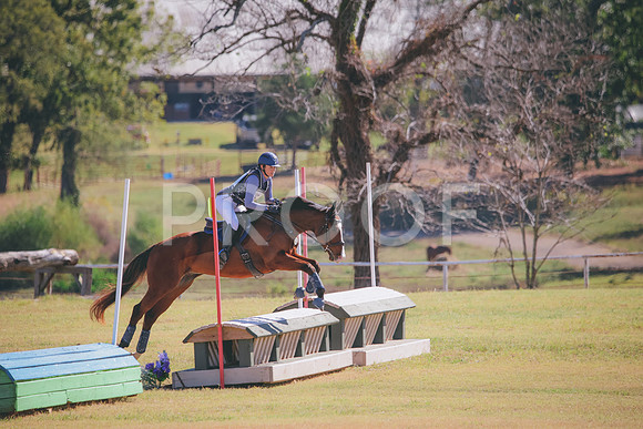 RWP_4596
