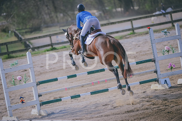 JJS_6198