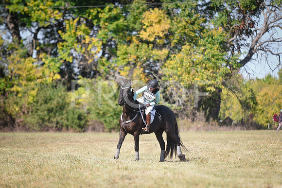 DSC_5161