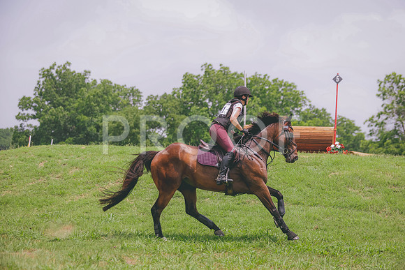 _KP_2336