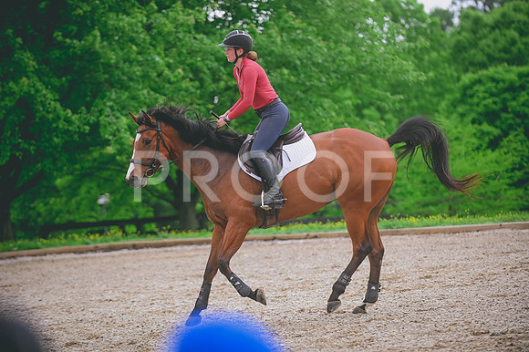 DSC_2096