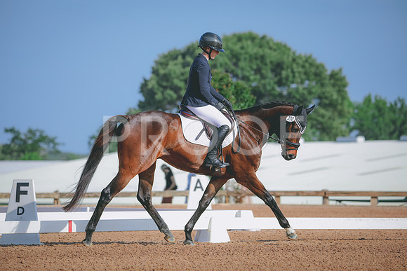 RWP_3835