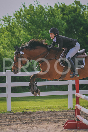 DSC_6715 copy