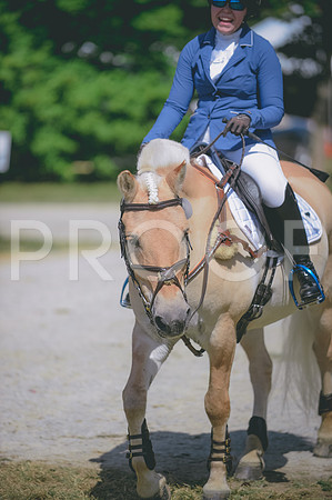 JJS_2844