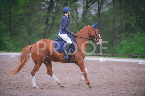 JJS_7532