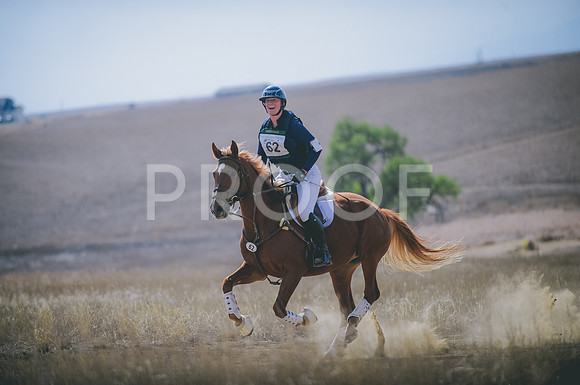 JJS_0273