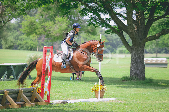 RWP_4233