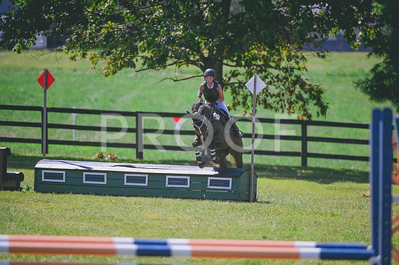 DSC_7212A