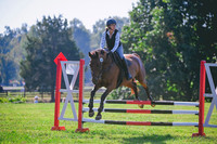 DSC_8747
