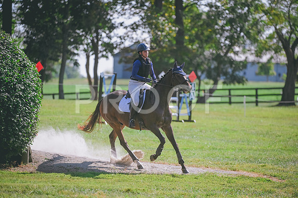 DSC_3696A