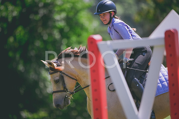DSC_6602
