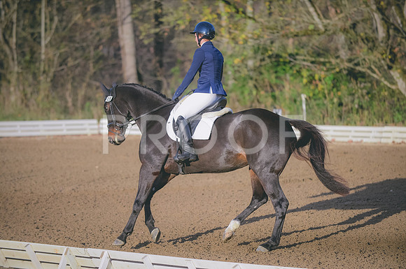 JJS_3297