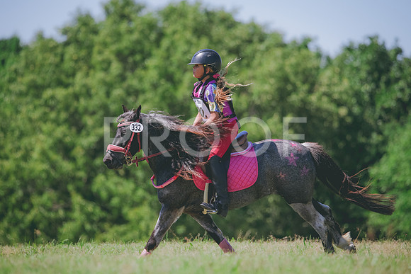 RWP_1140