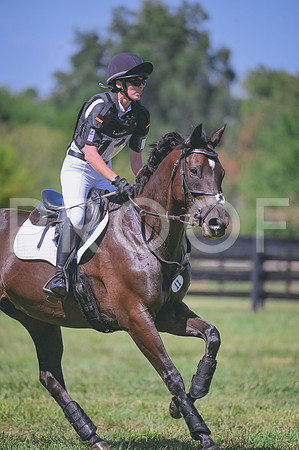 DSC_9337