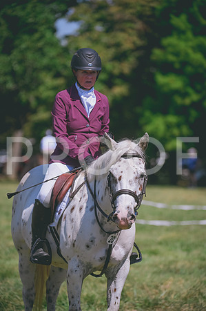 DSC_2669