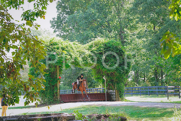 DSC00920